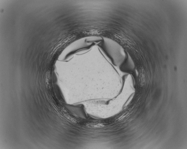 X0000068260747200605191802