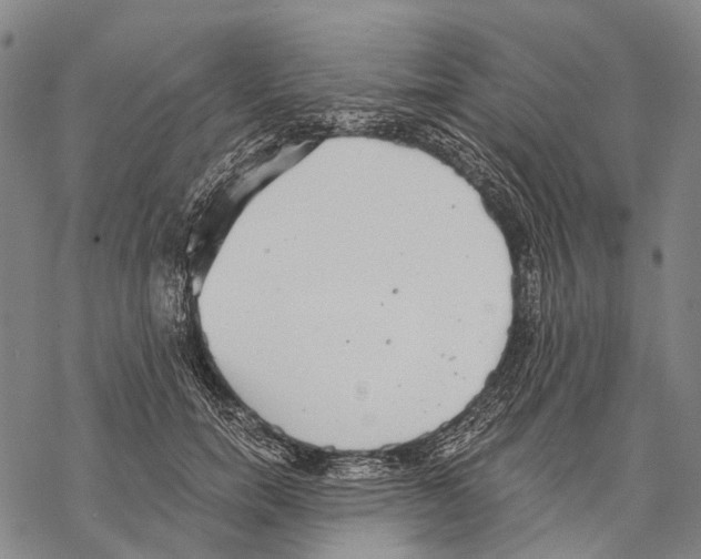 X0000068260750200605191802