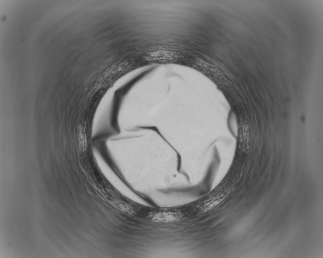 X0000068260751200605191802