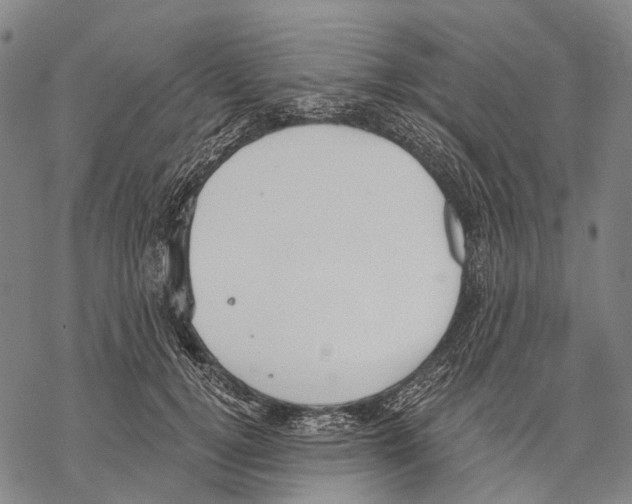 X0000068260752200605191802