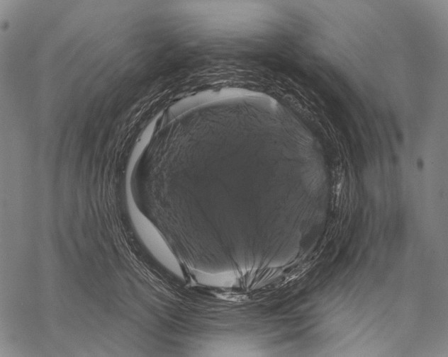 X0000068260754200605191802