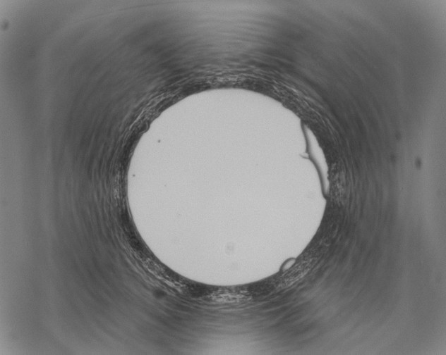 X0000068260756200605191802