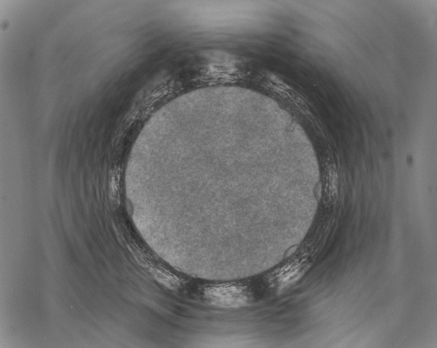 X0000068260759200605191802