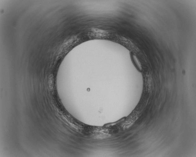 X0000068260760200605191802