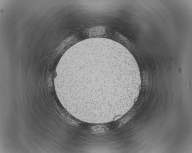 X0000068260761200605191803