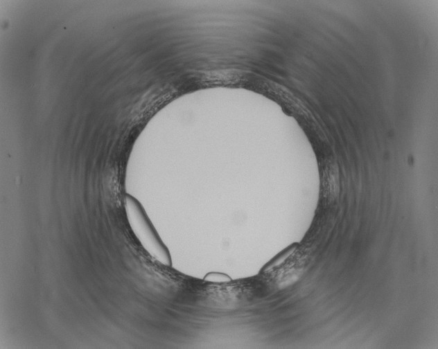 X0000068260764200605191803