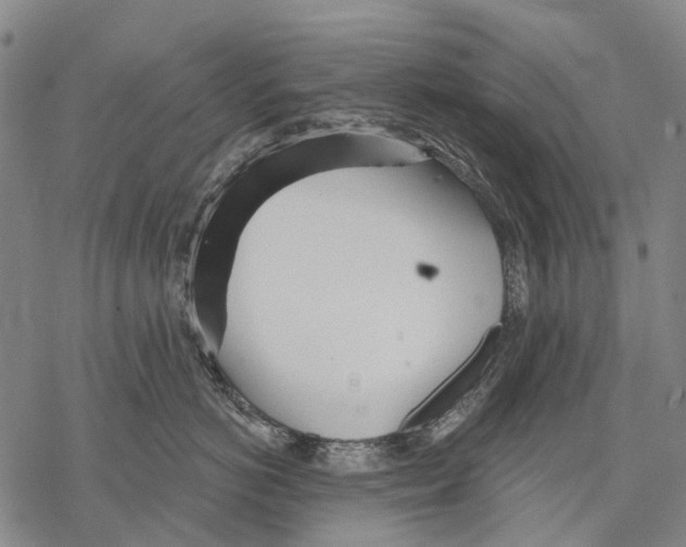 X0000068260766200605191803