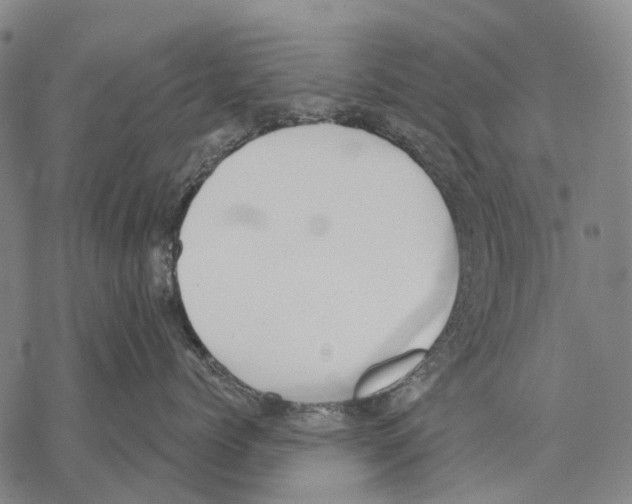 X0000068260768200605191803