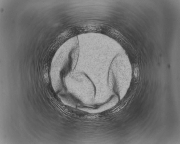 X0000068260771200605191802