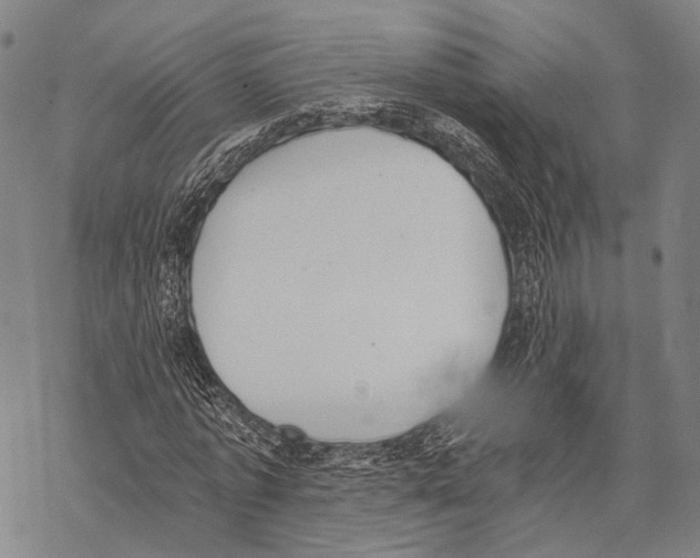 X0000068260773200605191802