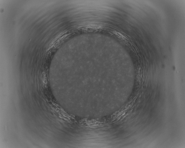 X0000068260774200605191802