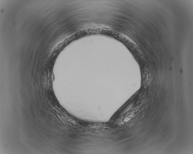 X0000068260775200605191802