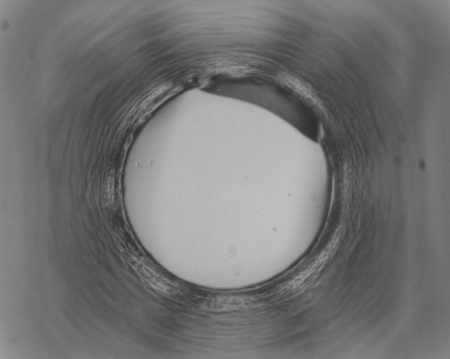 X0000068260777200605191802