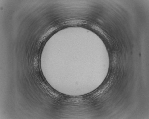 X0000068260778200605191802