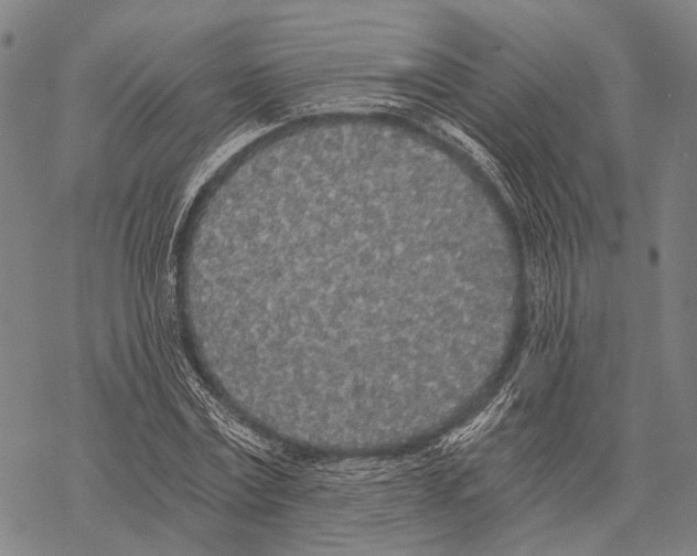 X0000068260779200605191802