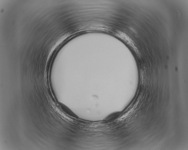 X0000068260780200605191802