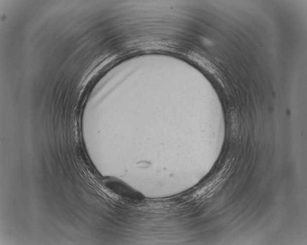 X0000068260782200605191802