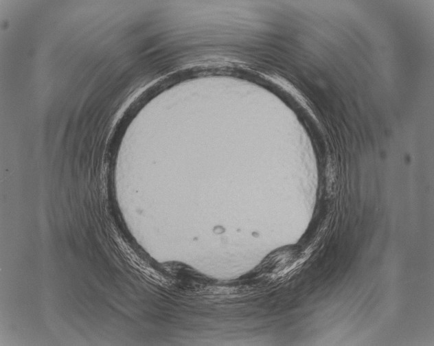 X0000068260783200605191802