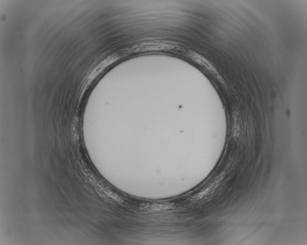 X0000068260786200605191802