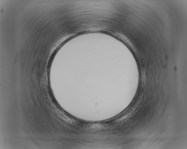 X0000068260787200605191802