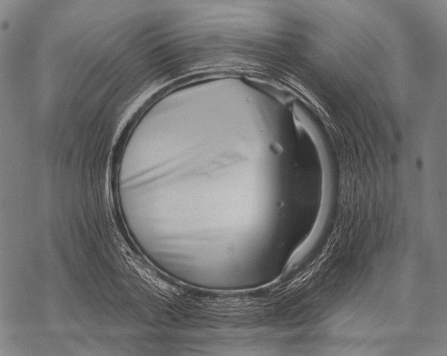 X0000068260788200605191802