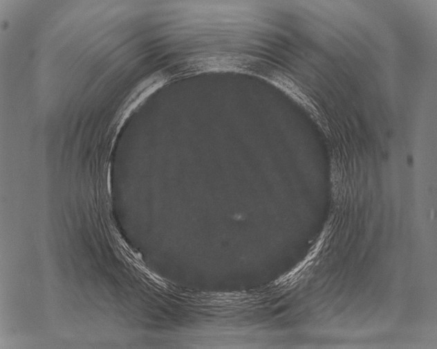 X0000068260790200605191802