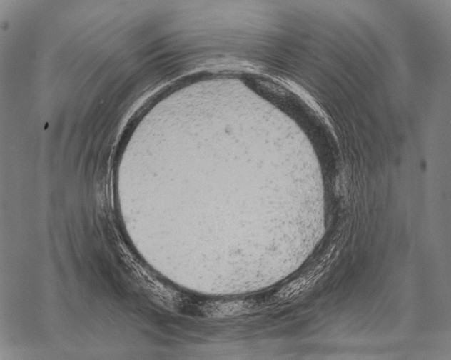 X0000068260791200605191801