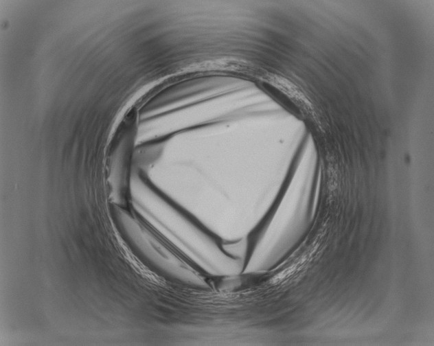 X0000068260792200605191801