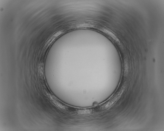 X0000068260793200605191801