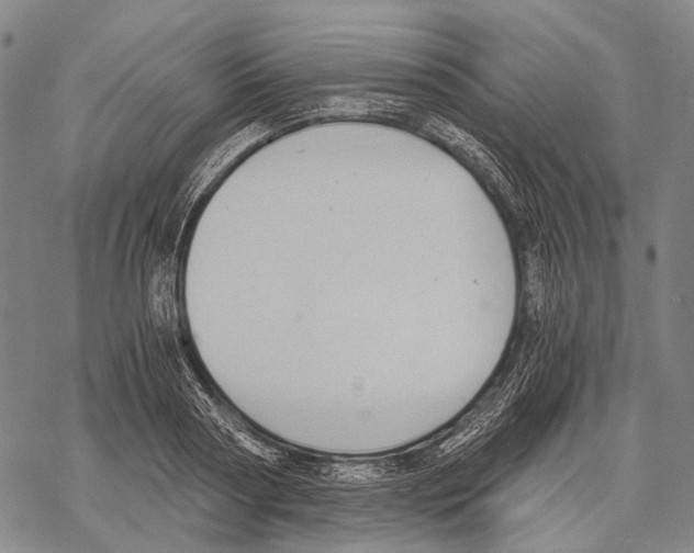 X0000068260794200605191801