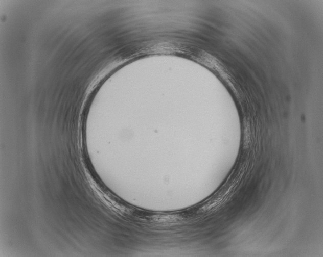 X0000068260795200605191801