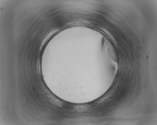 X0000068260796200605191801