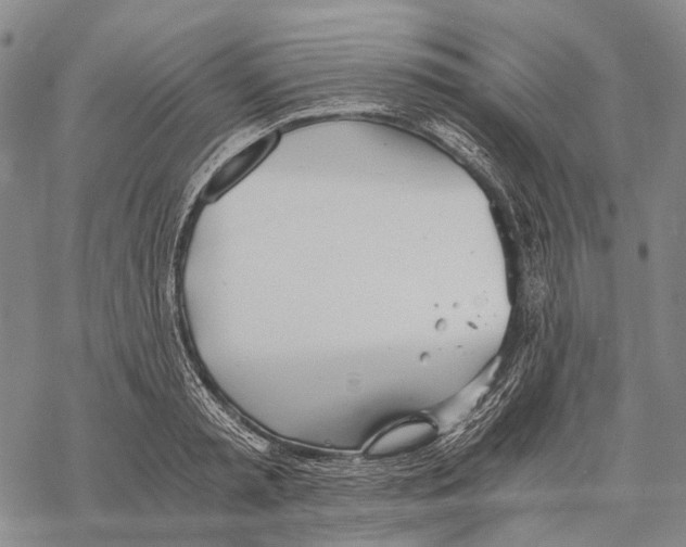 X0000068260797200605191801