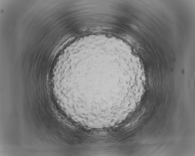 X0000068260798200605191801