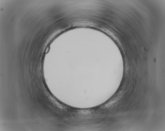 X0000068260799200605191801