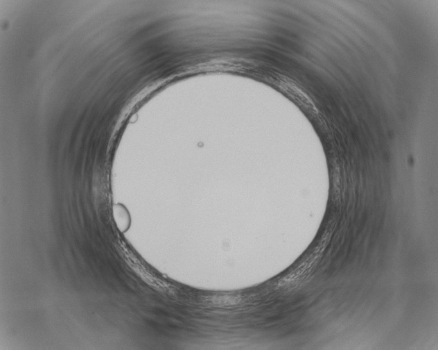 X0000068260800200605191801