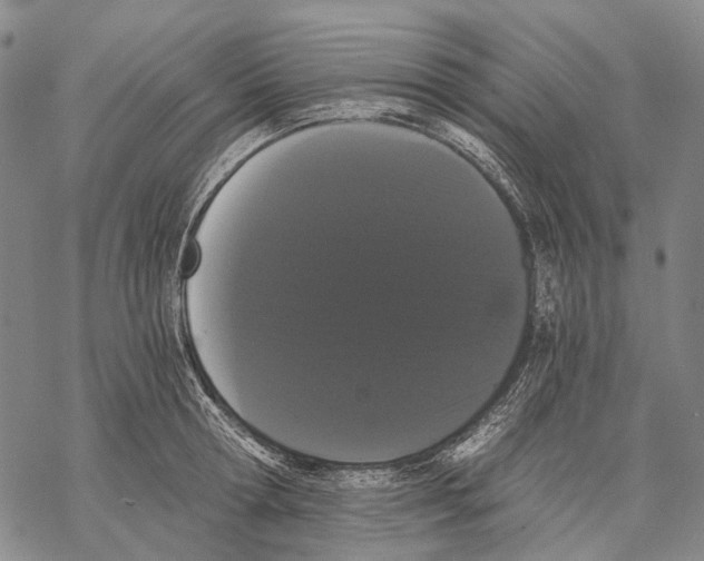 X0000068260802200605191801