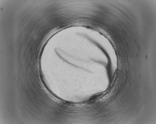 X0000068260803200605191801