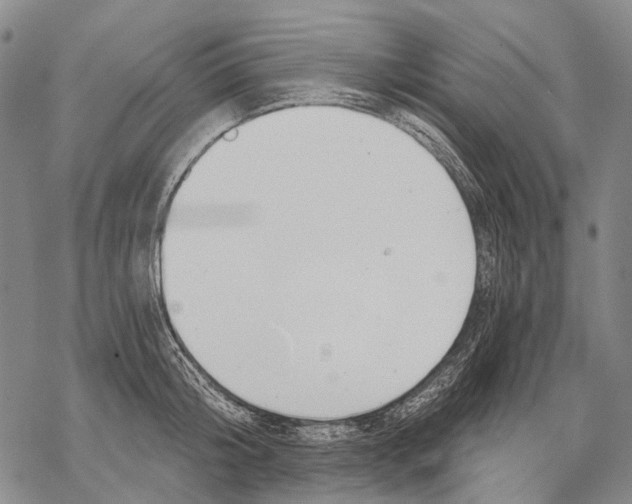 X0000068260804200605191801