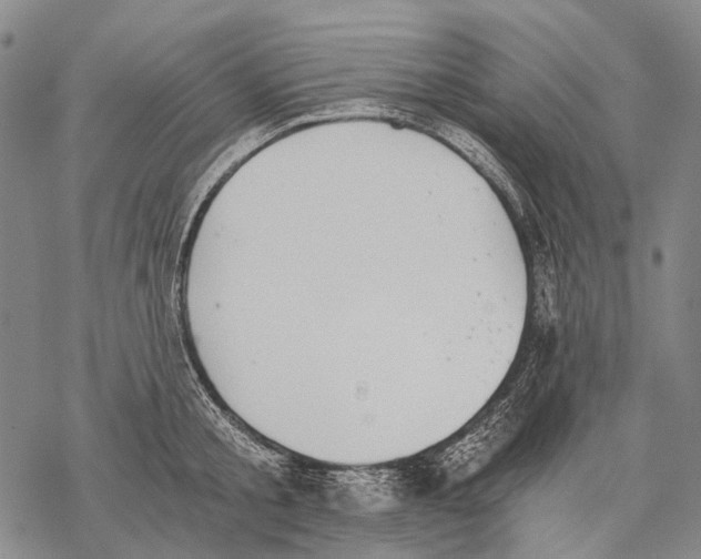 X0000068260805200605191801