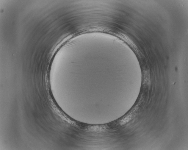 X0000068260806200605191801