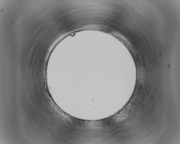 X0000068260808200605191801