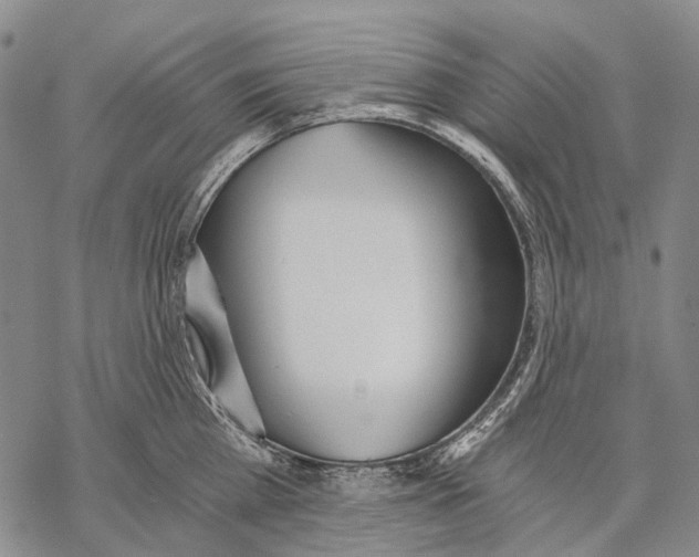 X0000068260809200605191801