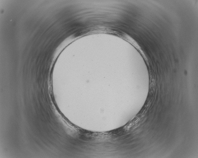 X0000068260811200605191801