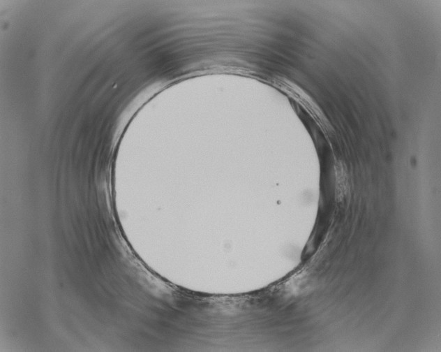 X0000068260812200605191801