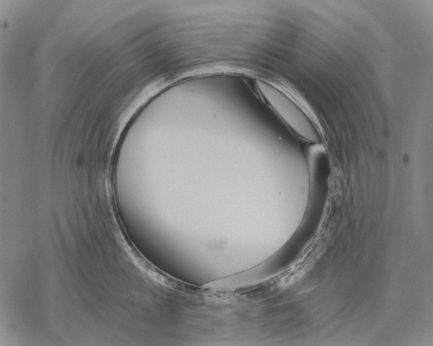 X0000068260813200605191801