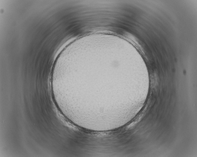 X0000068260814200605191801