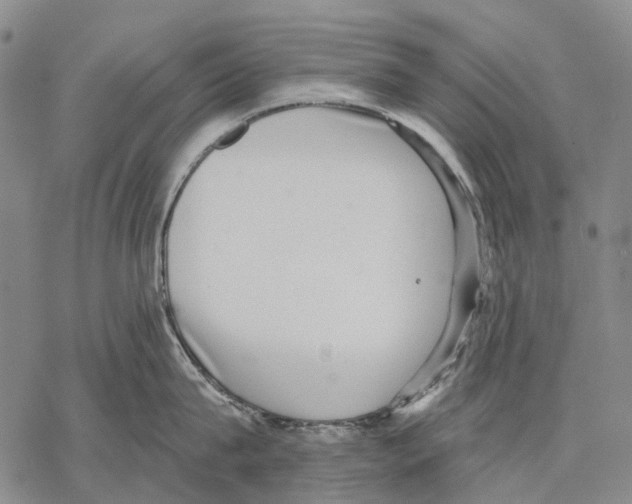 X0000068260815200605191801