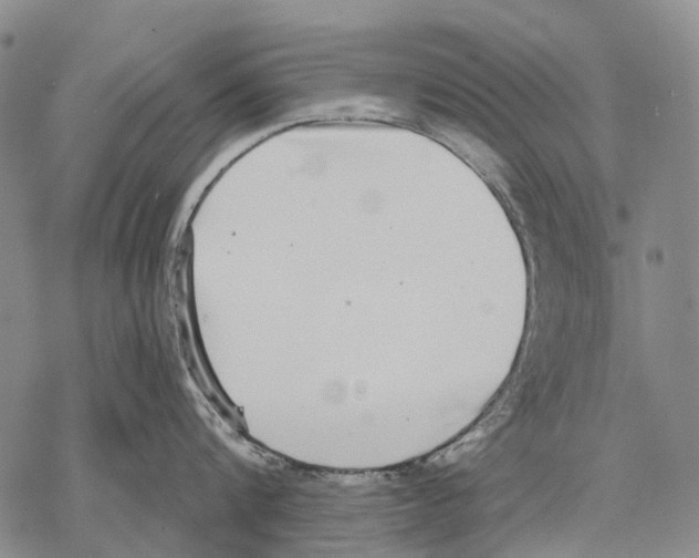 X0000068260816200605191801