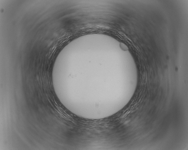 X0000068260820200605191800